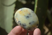 Polished Dendritic Opal Palm Stones x 12 From Moralambo, Madagascar