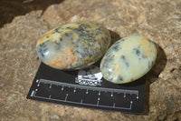 Polished Dendritic Opal Palm Stones x 12 From Moralambo, Madagascar