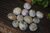 Polished Dendritic Opal Palm Stones x 12 From Moralambo, Madagascar