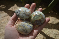 Polished Dendritic Opal Palm Stones x 12 From Moralambo, Madagascar