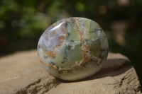 Polished Dendritic Opal Palm Stones x 12 From Moralambo, Madagascar