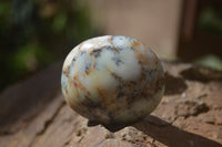 Polished Dendritic Opal Palm Stones x 12 From Moralambo, Madagascar