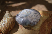 Polished Dendritic Opal Palm Stones x 12 From Moralambo, Madagascar