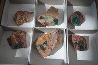 Natural Dioptase On Dolomite Specimens x 6 From Likasi, Congo