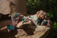 Natural Dioptase On Dolomite Specimens x 6 From Likasi, Congo