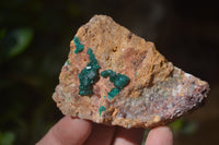 Natural Dioptase On Dolomite Specimens x 6 From Likasi, Congo