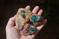 Natural Dioptase On Dolomite Specimens x 6 From Likasi, Congo