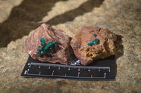 Natural Dioptase On Dolomite Specimens x 6 From Likasi, Congo