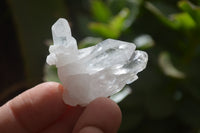 Natural Clear Quartz Crystals x 70 From Mpika, Zambia