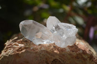 Natural Clear Quartz Crystals x 70 From Mpika, Zambia