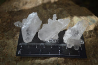 Natural Clear Quartz Crystals x 70 From Mpika, Zambia