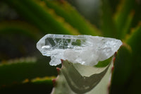 Natural Clear Quartz Crystals x 70 From Mpika, Zambia