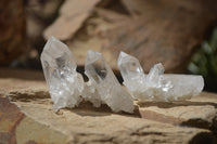 Natural Clear Quartz Crystals x 70 From Mpika, Zambia