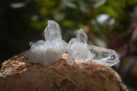 Natural Clear Quartz Crystals x 70 From Mpika, Zambia