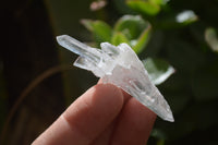 Natural Clear Quartz Crystals x 70 From Mpika, Zambia