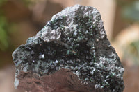 Natural Libethenite Crystals On Dolomite Matrix Specimens x 2 From Shituru, Congo