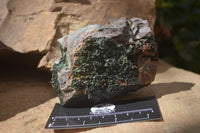 Natural Libethenite Crystals On Dolomite Matrix Specimens x 2 From Shituru, Congo