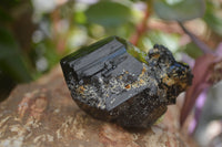 Natural Schorl Black Tourmaline Specimens x 6 From Namibia