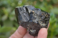 Natural Schorl Black Tourmaline Specimens x 6 From Namibia