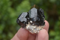 Natural Schorl Black Tourmaline Specimens x 6 From Namibia