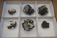 Natural Schorl Black Tourmaline Specimens x 6 From Namibia