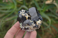 Natural Schorl Black Tourmaline Specimens x 6 From Namibia