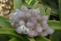 Natural Ametrine Spirit Quartz Cluster x 1 From Boekenhouthoek, South Africa