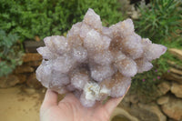 Natural Ametrine Spirit Quartz Cluster x 1 From Boekenhouthoek, South Africa