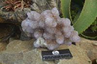 Natural Ametrine Spirit Quartz Cluster x 1 From Boekenhouthoek, South Africa