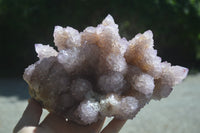 Natural Ametrine Spirit Quartz Cluster x 1 From Boekenhouthoek, South Africa