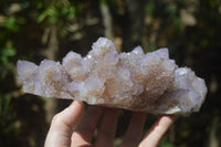 Natural Ametrine Spirit Quartz Cluster x 1 From Boekenhouthoek, South Africa