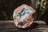 Natural Drusy Coated Malacolla On Dolomite Specimens x 2 From Congo