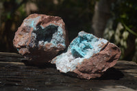 Natural Drusy Coated Malacolla On Dolomite Specimens x 2 From Congo