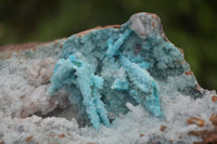 Natural Drusy Coated Malacolla On Dolomite Specimens x 2 From Congo