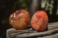 Polished Carnelian Palm Stones x 12 From Madagascar