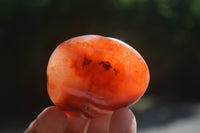 Polished Carnelian Palm Stones x 12 From Madagascar