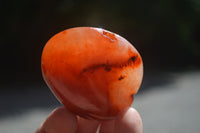 Polished Carnelian Palm Stones x 12 From Madagascar