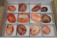 Polished Carnelian Palm Stones x 12 From Madagascar