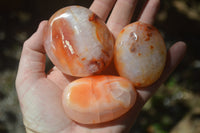 Polished Carnelian Palm Stones x 12 From Madagascar