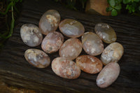 Polished Flower Agate Palm Stones x 12 From Antsahalova, Madagascar