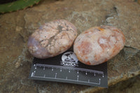 Polished Flower Agate Palm Stones x 12 From Antsahalova, Madagascar