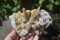 Natural Fairy Spirit Quartz Clusters x 6 From Boekenhouthoek, South Africa