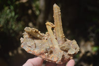 Natural Fairy Spirit Quartz Clusters x 6 From Boekenhouthoek, South Africa