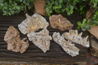 Natural Fairy Spirit Quartz Clusters x 6 From Boekenhouthoek, South Africa