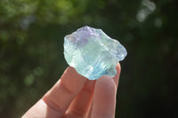 Natural Watermelon Fluorite Cobbed Specimens x 30 From Uis, Namibia