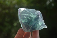 Natural Watermelon Fluorite Cobbed Specimens x 30 From Uis, Namibia