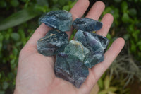 Natural Watermelon Fluorite Cobbed Specimens x 30 From Uis, Namibia