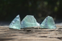 Natural Watermelon Fluorite Cobbed Specimens x 30 From Uis, Namibia