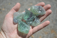 Natural Watermelon Fluorite Cobbed Specimens x 30 From Uis, Namibia