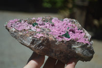 Natural Salrose Cobaltion Dolomite Specimen x 1 From Kakanda, Congo